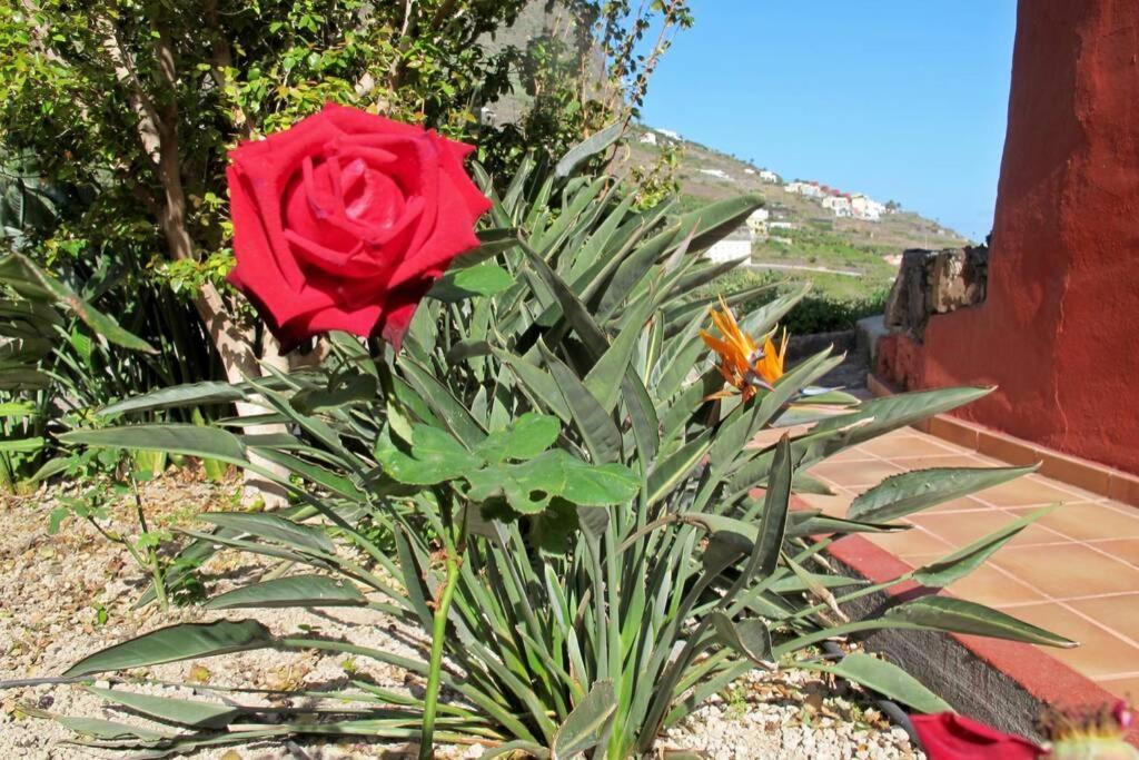 Casa Rural La Pitanga Hermigua Luaran gambar