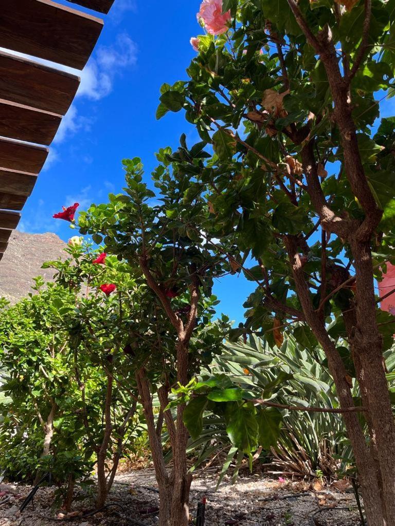 Casa Rural La Pitanga Hermigua Luaran gambar