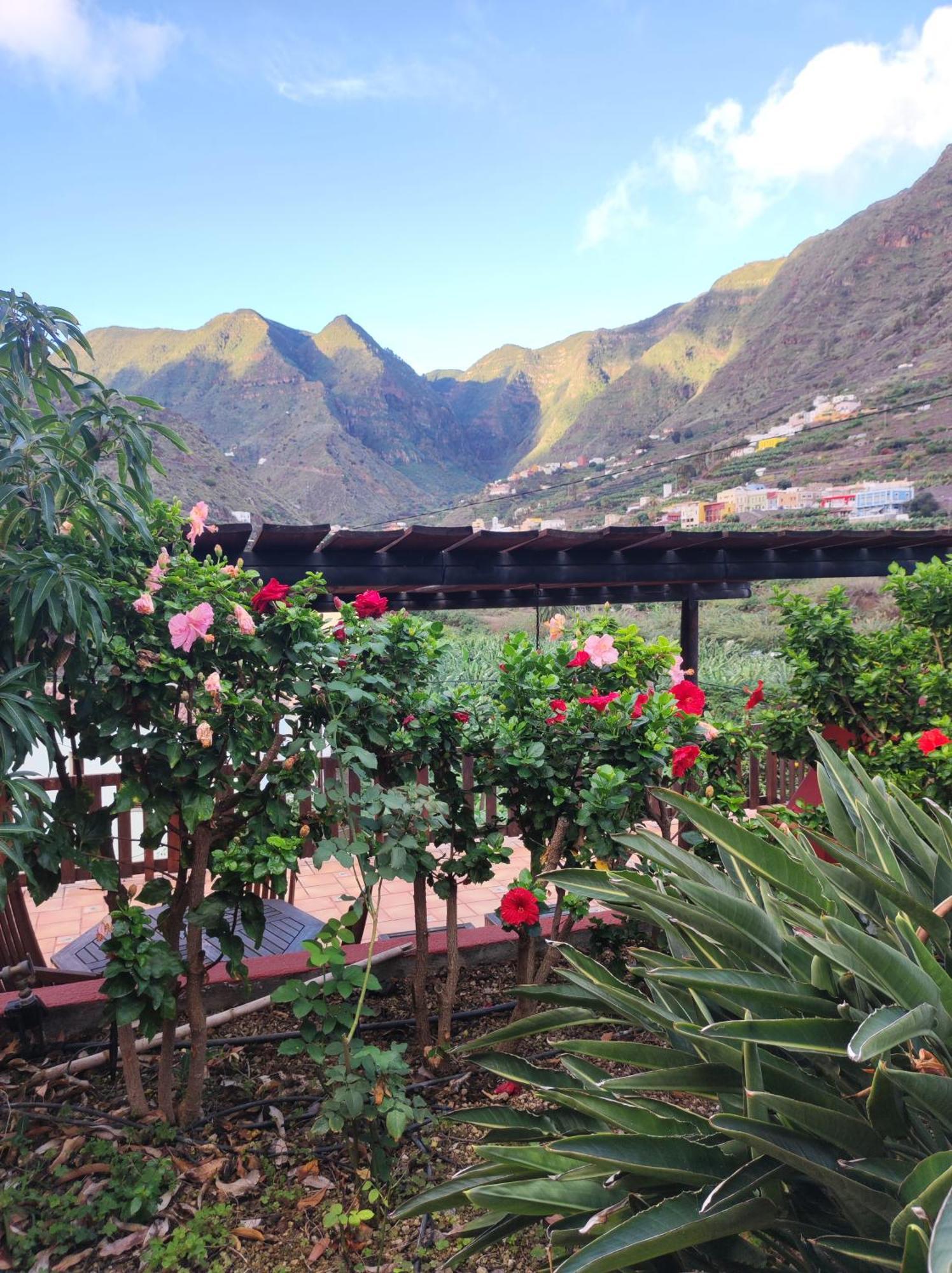 Casa Rural La Pitanga Hermigua Luaran gambar